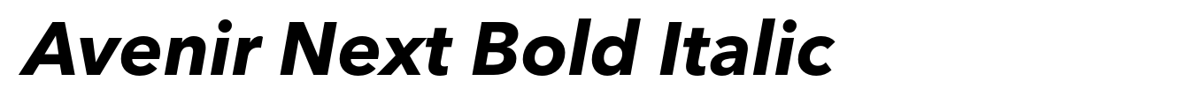 Avenir Next Bold Italic image